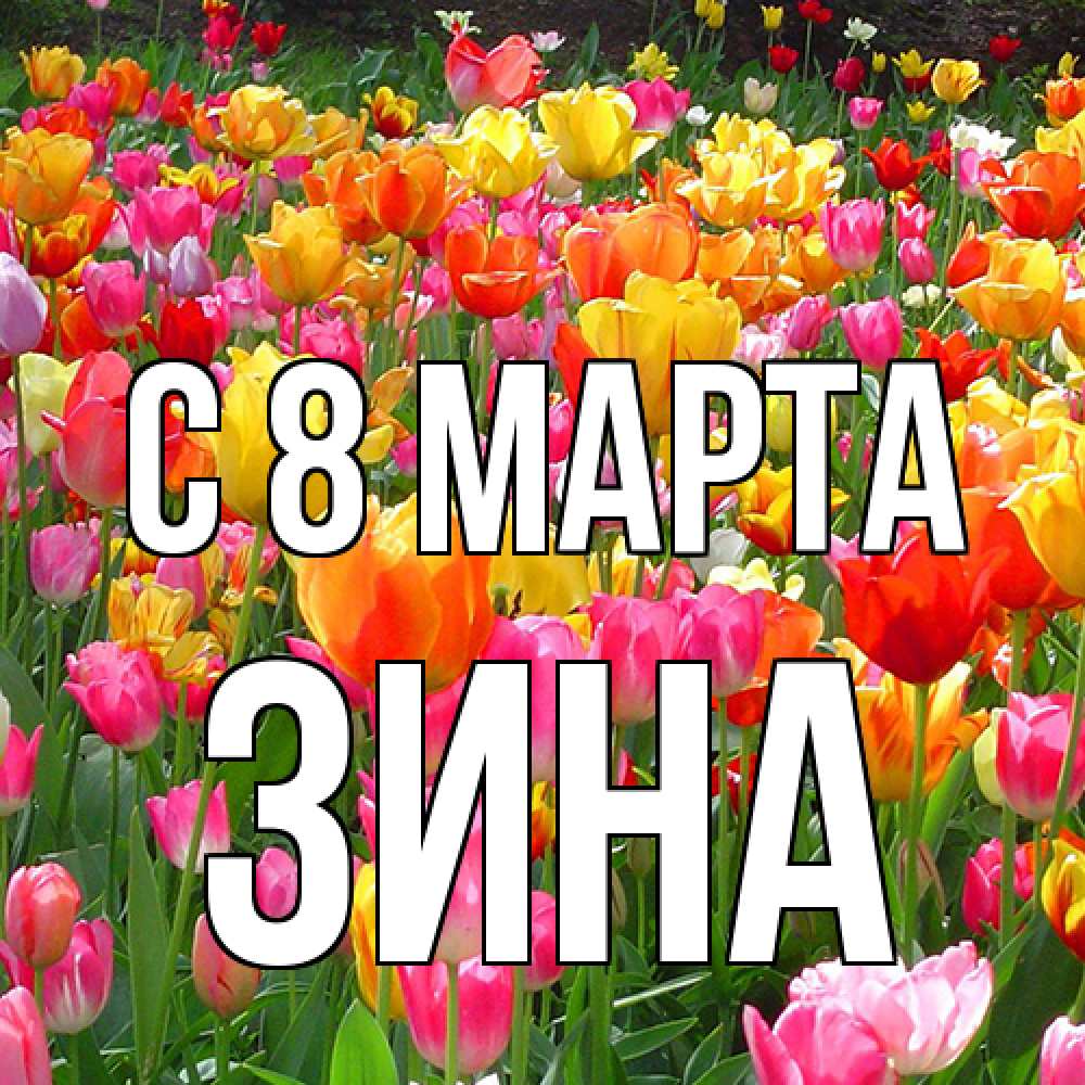 Открытка на каждый день с именем, Зина C 8 МАРТА на международный женский день Прикольная открытка с пожеланием онлайн скачать бесплатно 