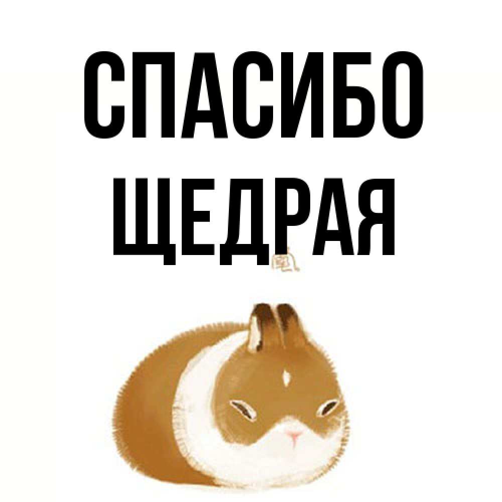 Открытка на каждый день с именем, Щедрая Спасибо коричнево белый домашний питомец Прикольная открытка с пожеланием онлайн скачать бесплатно 