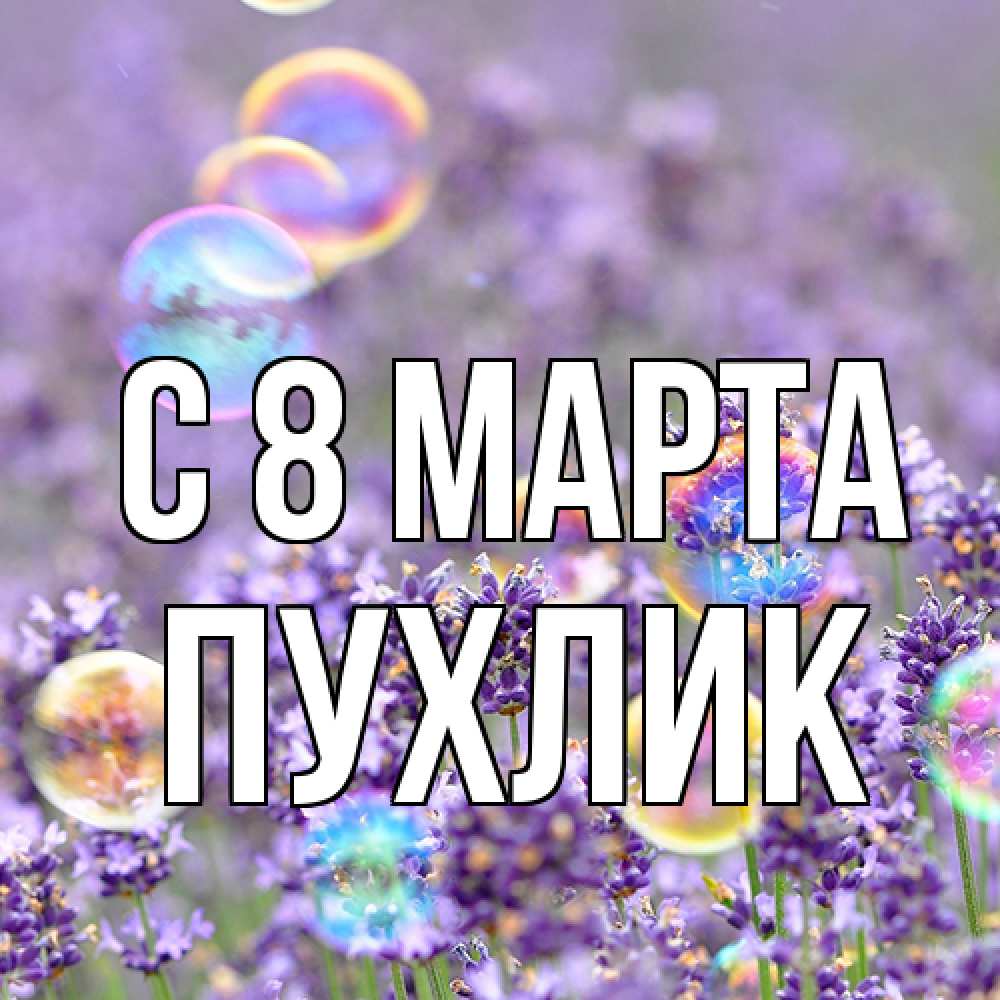 Открытка на каждый день с именем, пухлик C 8 МАРТА цветы Прикольная открытка с пожеланием онлайн скачать бесплатно 