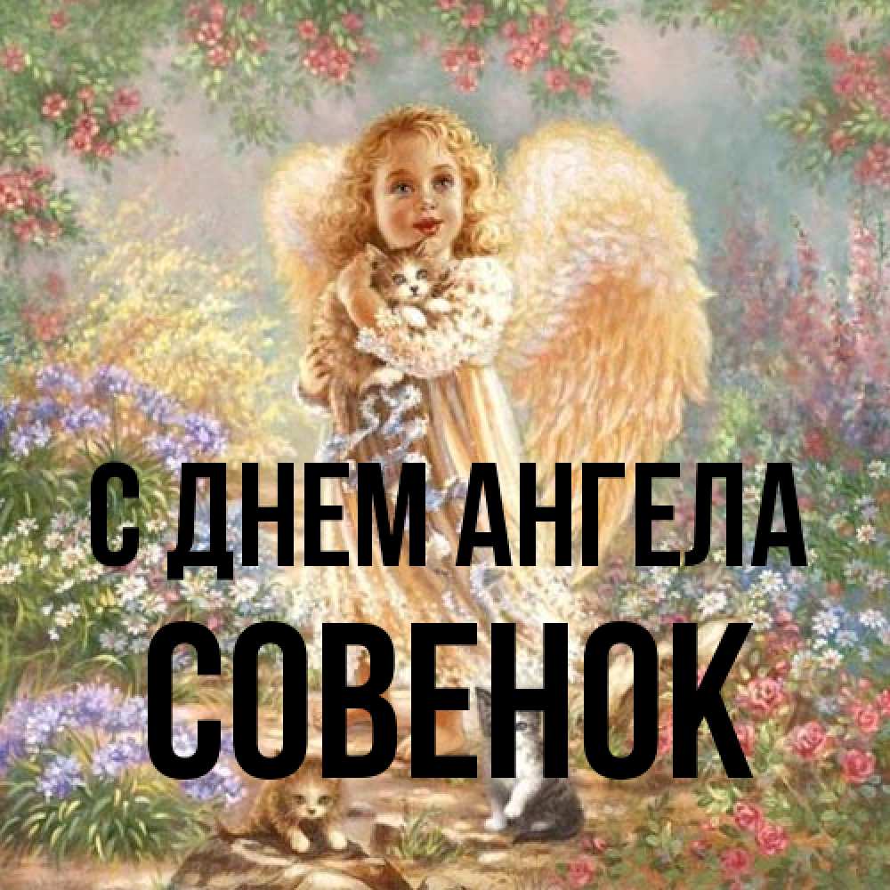 Открытка на каждый день с именем, совенок С днем ангела держит котенка Прикольная открытка с пожеланием онлайн скачать бесплатно 