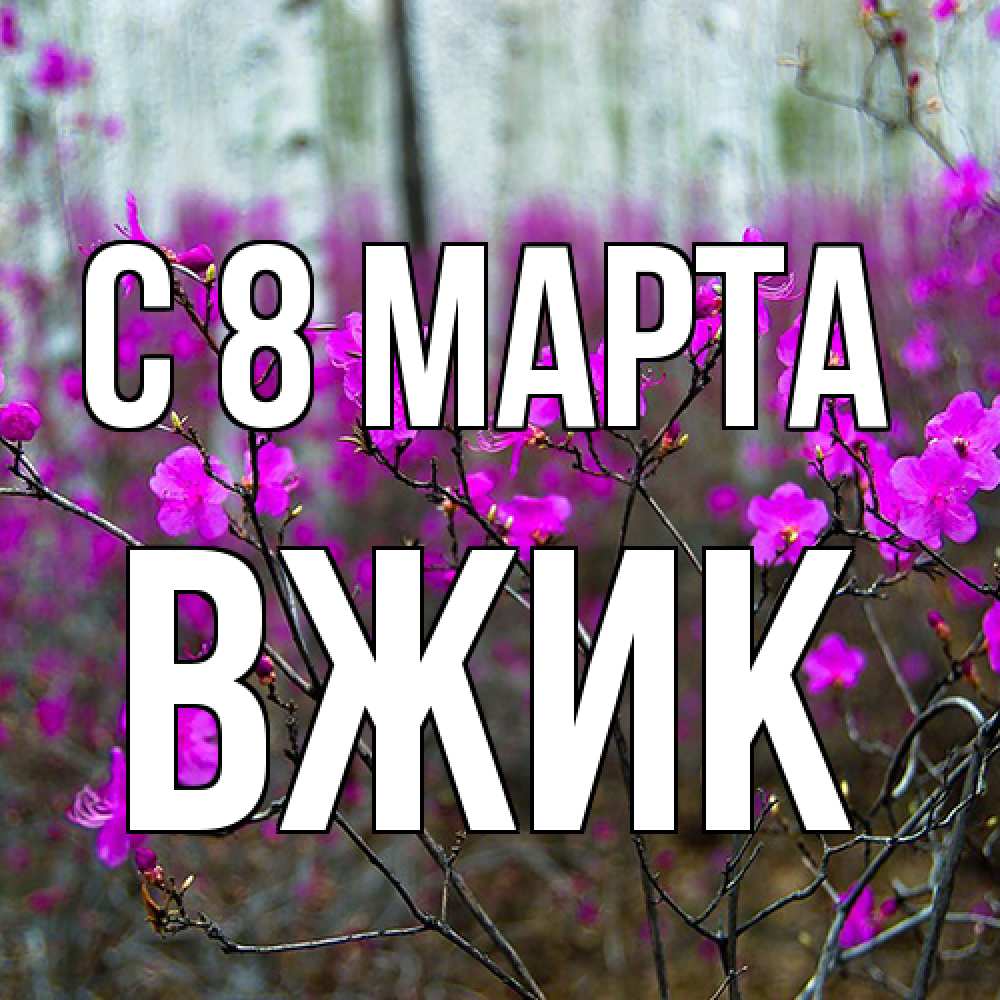 Открытка на каждый день с именем, Вжик C 8 МАРТА дикие цветы Прикольная открытка с пожеланием онлайн скачать бесплатно 