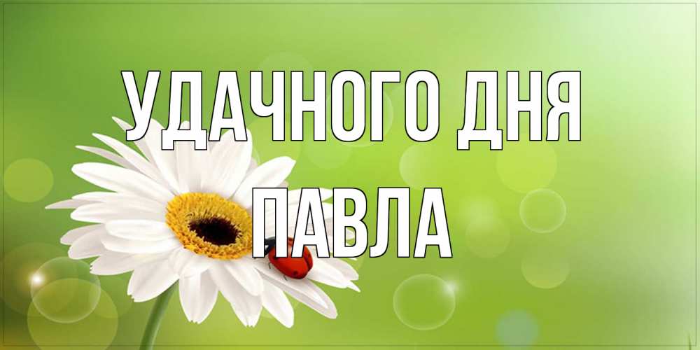 Открытка на каждый день с именем, Павла Удачного дня зеленый фон и ромашка Прикольная открытка с пожеланием онлайн скачать бесплатно 
