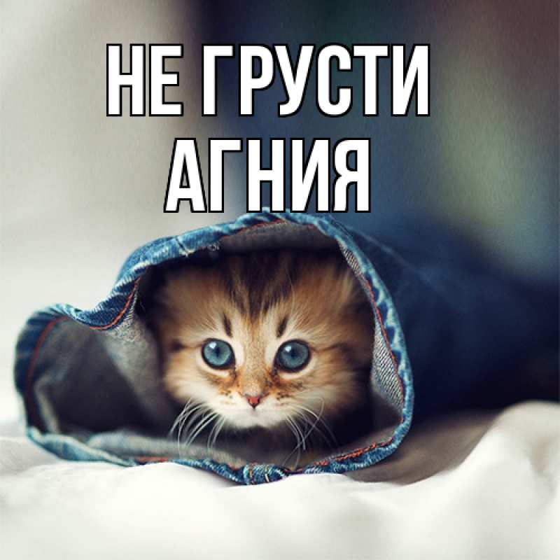 Картинка Не грусти, Агния