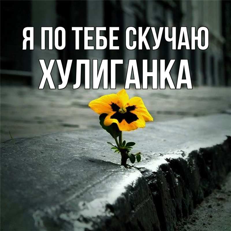 Картинка Я по тебе скучаю, Хулиганка