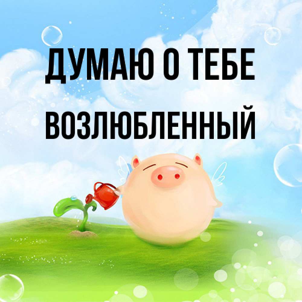 Открытка на каждый день с именем, Возлюбленный Думаю о тебе позитивная свинюшка Прикольная открытка с пожеланием онлайн скачать бесплатно 