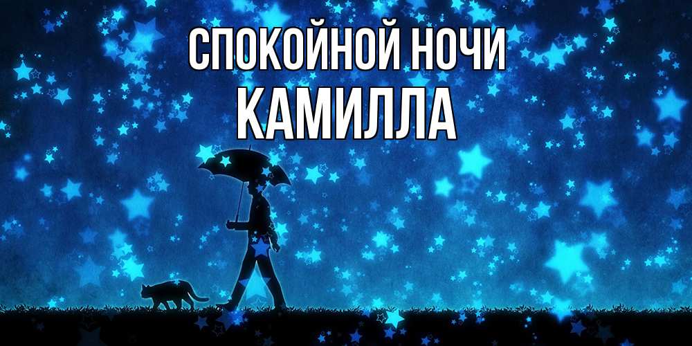 Открытка на каждый день с именем, Камилла Спокойной ночи ночные прогулки с котом под звездами Прикольная открытка с пожеланием онлайн скачать бесплатно 