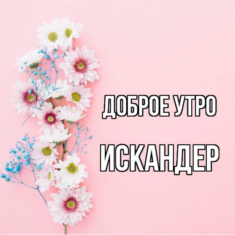 Картинка Доброе утро, Искандер