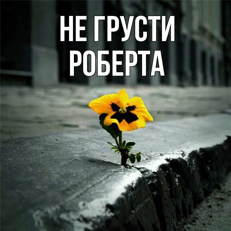 Картинка Не грусти, Роберта