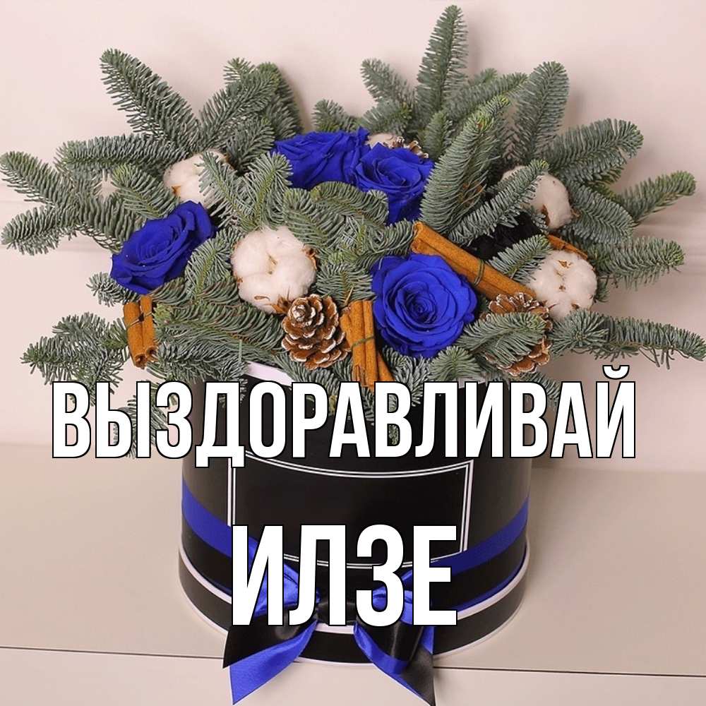 Открытка на каждый день с именем, Илзе Выздоравливай короче кто то загрузил эти шишки Прикольная открытка с пожеланием онлайн скачать бесплатно 