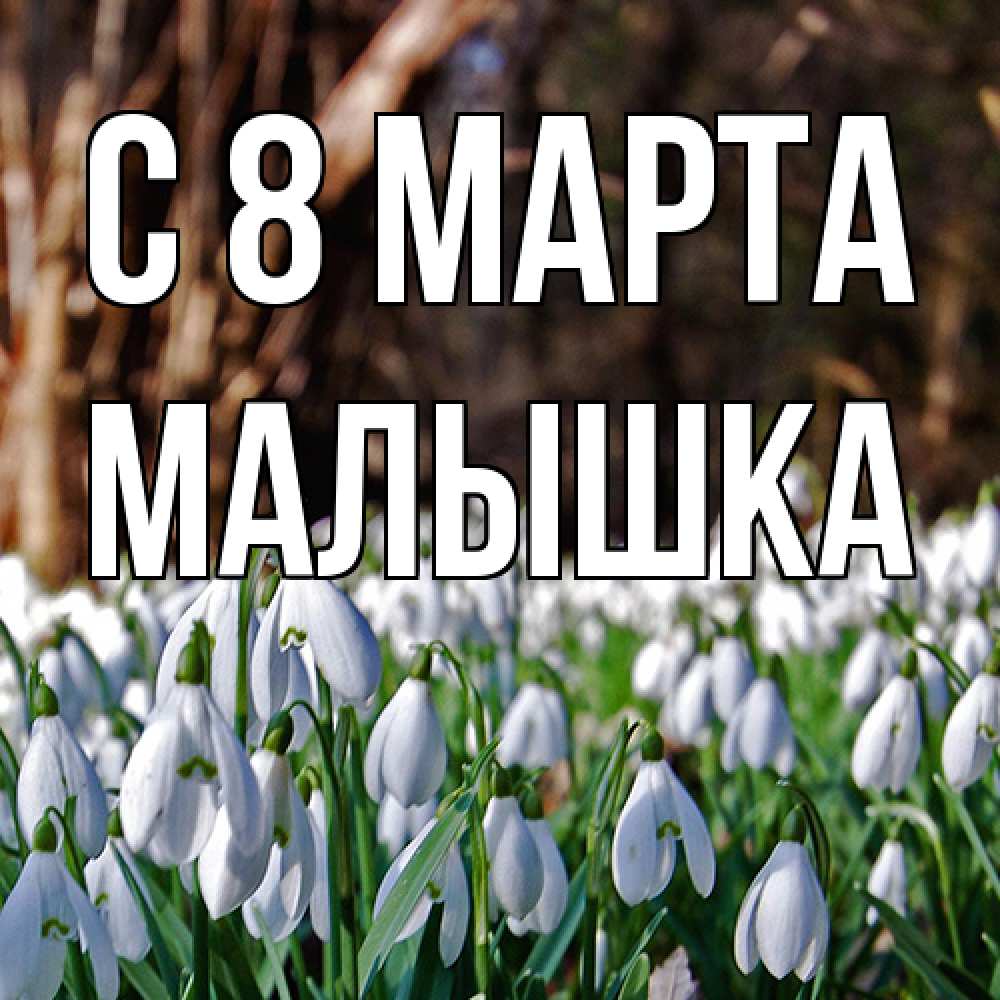 Открытка на каждый день с именем, малышка C 8 МАРТА с подснежниками 1 Прикольная открытка с пожеланием онлайн скачать бесплатно 