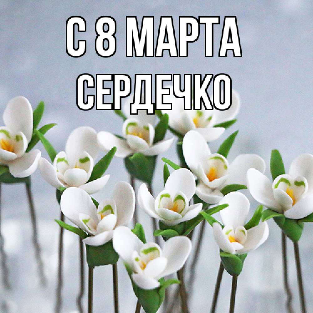 Открытка на каждый день с именем, сердечко C 8 МАРТА весенние цветы Прикольная открытка с пожеланием онлайн скачать бесплатно 