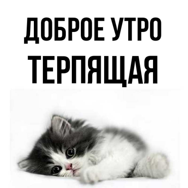 Картинка Доброе утро, Терпящая