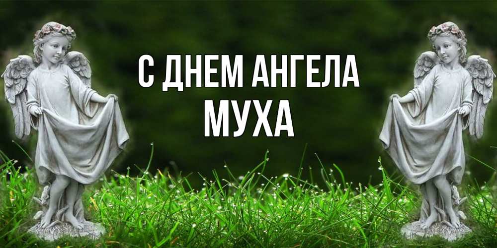 Открытка на каждый день с именем, Муха С днем ангела небо, ангел, девушка Прикольная открытка с пожеланием онлайн скачать бесплатно 