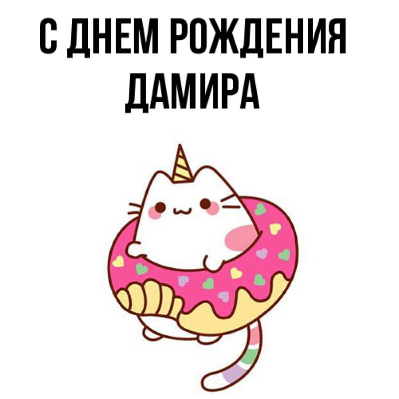 Картинка С днем рождения, Дамира