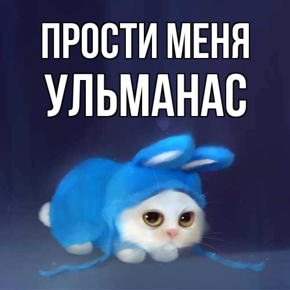 Открытка на каждый день с именем, Ульманас Прости меня невинный котозай просит прощения Прикольная открытка с пожеланием онлайн скачать бесплатно 