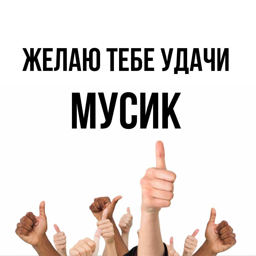 Открытка на каждый день с именем, мусик Желаю тебе удачи молодцом Прикольная открытка с пожеланием онлайн скачать бесплатно 
