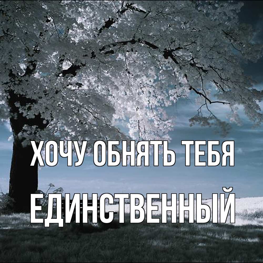 Открытка на каждый день с именем, Единственный Хочу обнять тебя дерево Прикольная открытка с пожеланием онлайн скачать бесплатно 