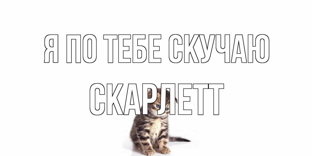 Открытка на каждый день с именем, Скарлетт Я по тебе скучаю кот Прикольная открытка с пожеланием онлайн скачать бесплатно 