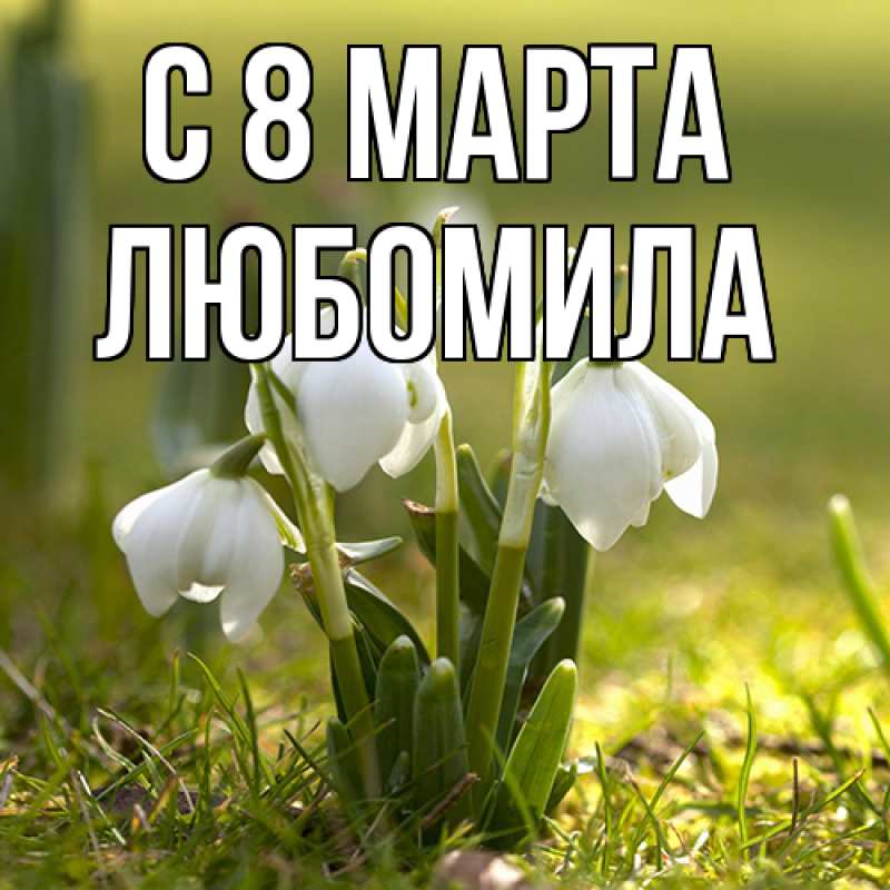 Картинка C 8 МАРТА, Любомила