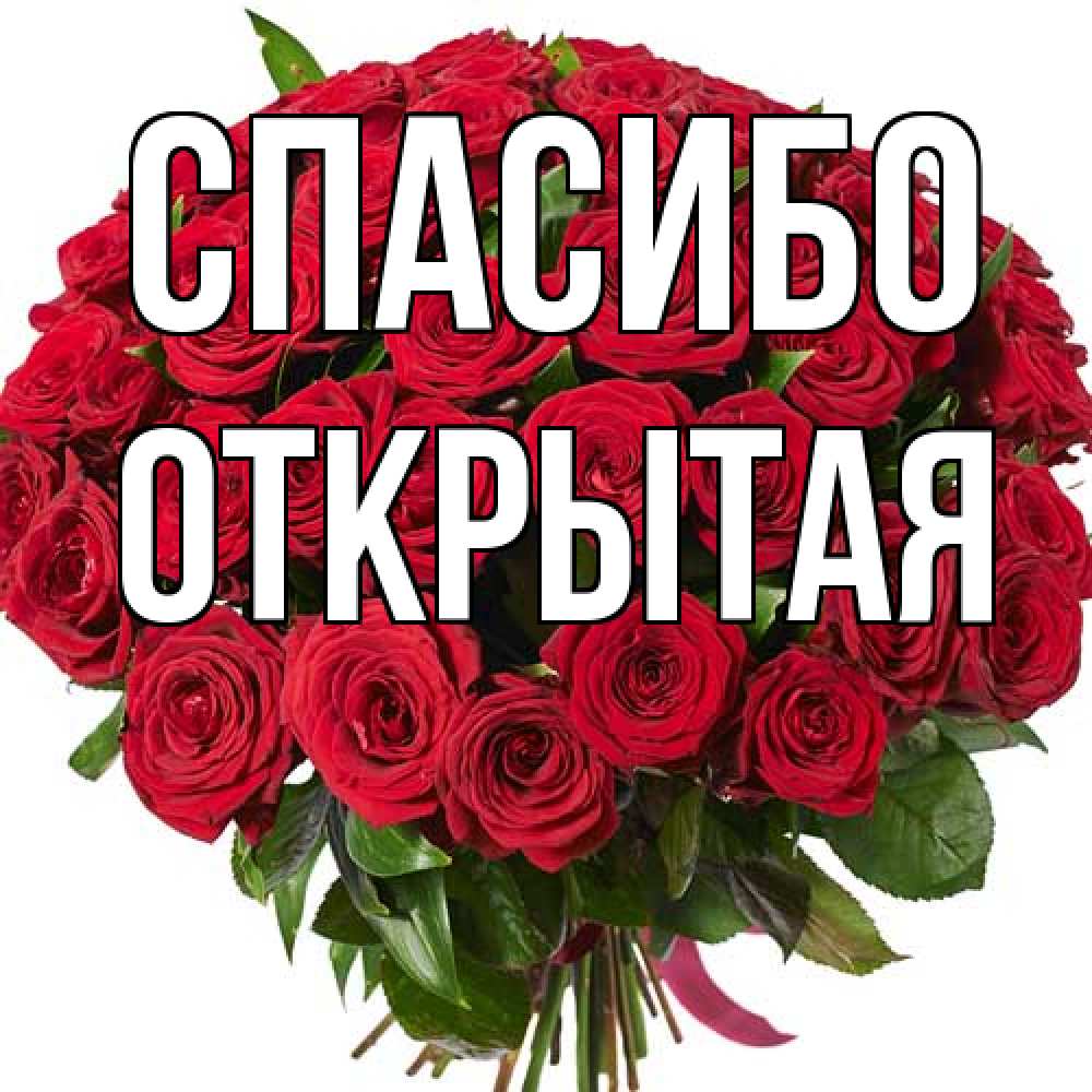 Открытка на каждый день с именем, открытая Спасибо букет красных роз Прикольная открытка с пожеланием онлайн скачать бесплатно 