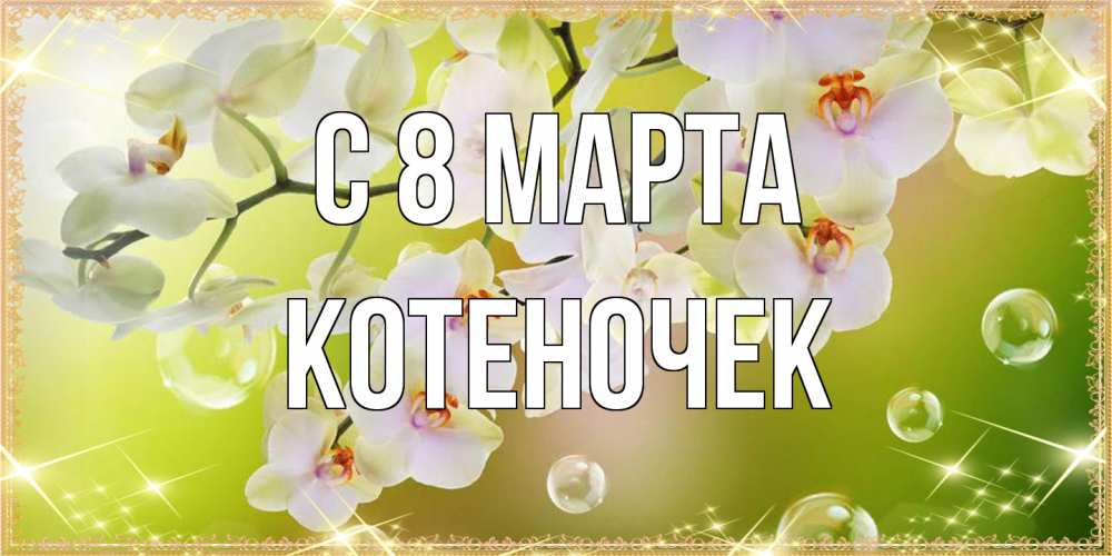 Открытка на каждый день с именем, Котеночек C 8 МАРТА открытка с цветами на международный женский день Прикольная открытка с пожеланием онлайн скачать бесплатно 