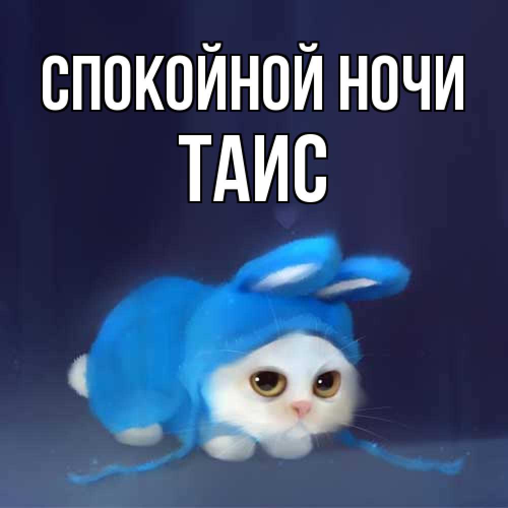 Открытка на каждый день с именем, Таис Спокойной ночи кот в голубом костюме кролика с ушками Прикольная открытка с пожеланием онлайн скачать бесплатно 