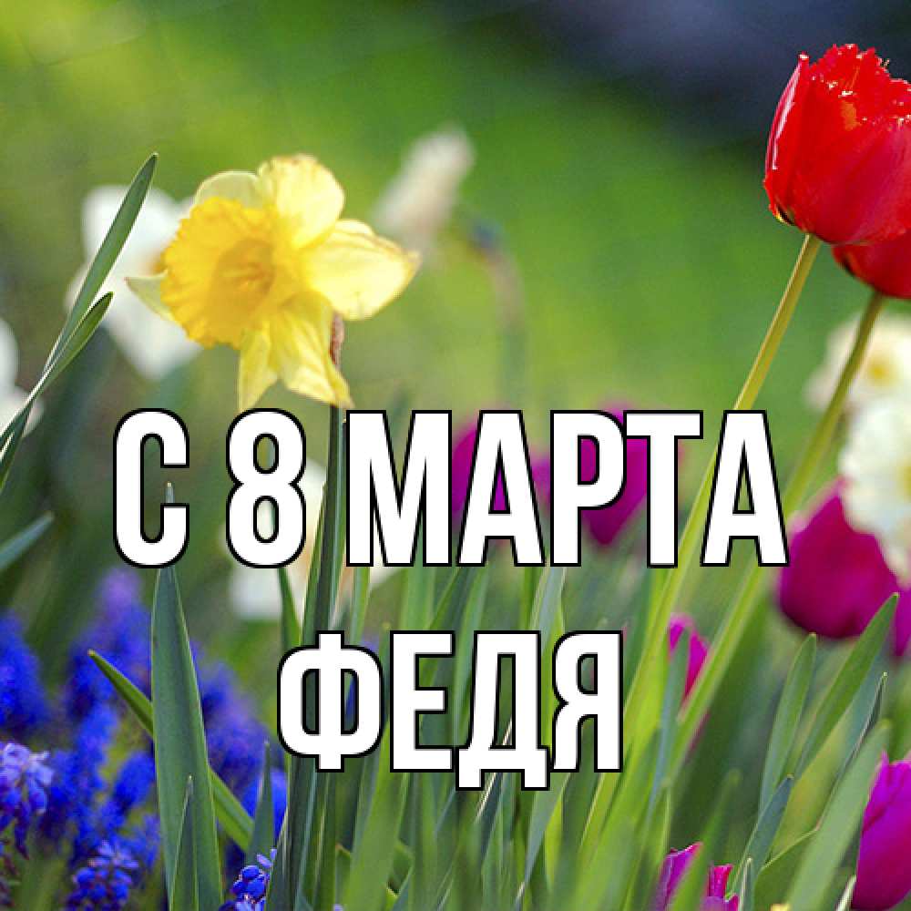 Открытка на каждый день с именем, Федя C 8 МАРТА международный женский день 3 Прикольная открытка с пожеланием онлайн скачать бесплатно 