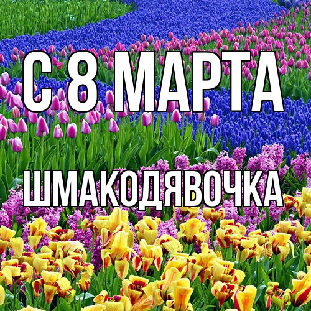 Открытка на каждый день с именем, шмакодявочка C 8 МАРТА цветы Прикольная открытка с пожеланием онлайн скачать бесплатно 