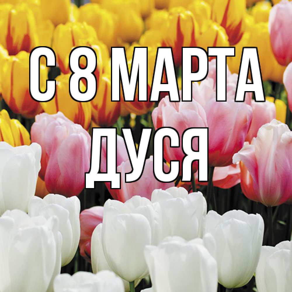Открытка на каждый день с именем, Дуся C 8 МАРТА разноцветные цветы Прикольная открытка с пожеланием онлайн скачать бесплатно 