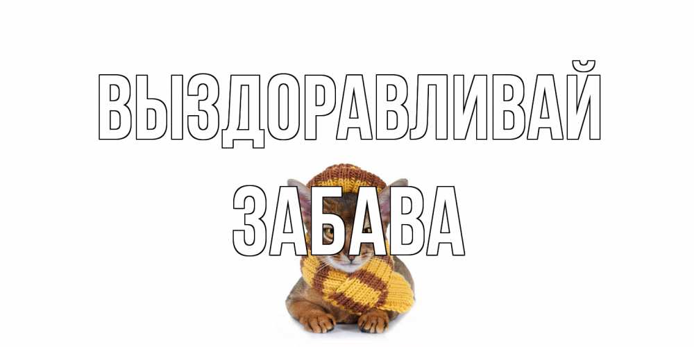 Открытка на каждый день с именем, Забава Выздоравливай родные не болейте Прикольная открытка с пожеланием онлайн скачать бесплатно 