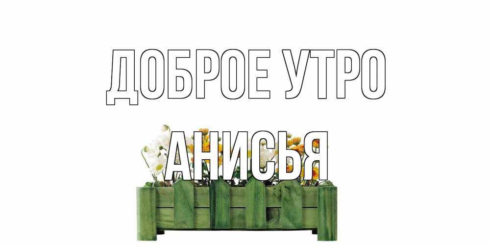 Открытка на каждый день с именем, Анисья Доброе утро цветы Прикольная открытка с пожеланием онлайн скачать бесплатно 