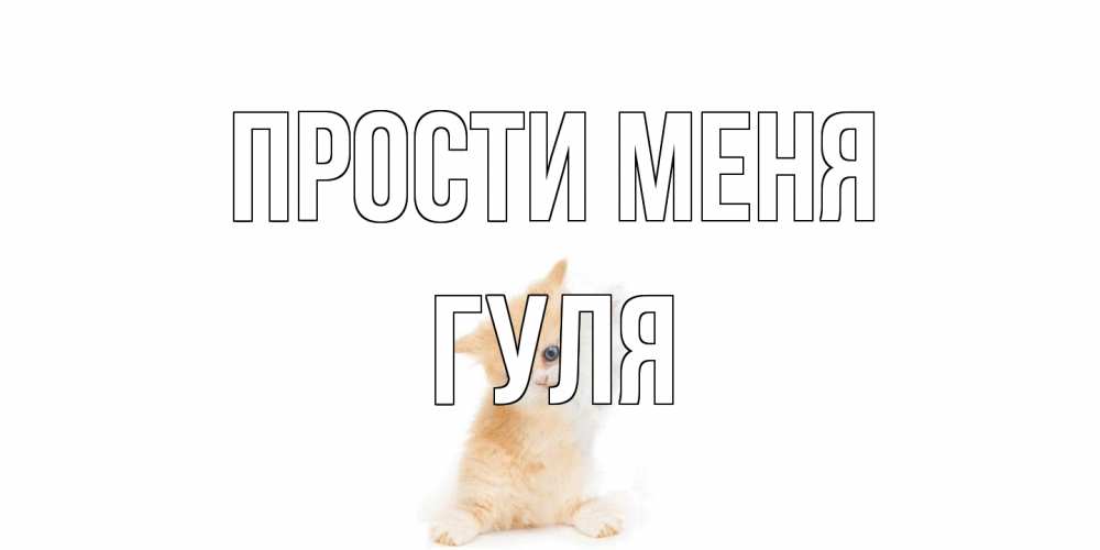 Открытка на каждый день с именем, Гуля Прости меня кот Прикольная открытка с пожеланием онлайн скачать бесплатно 