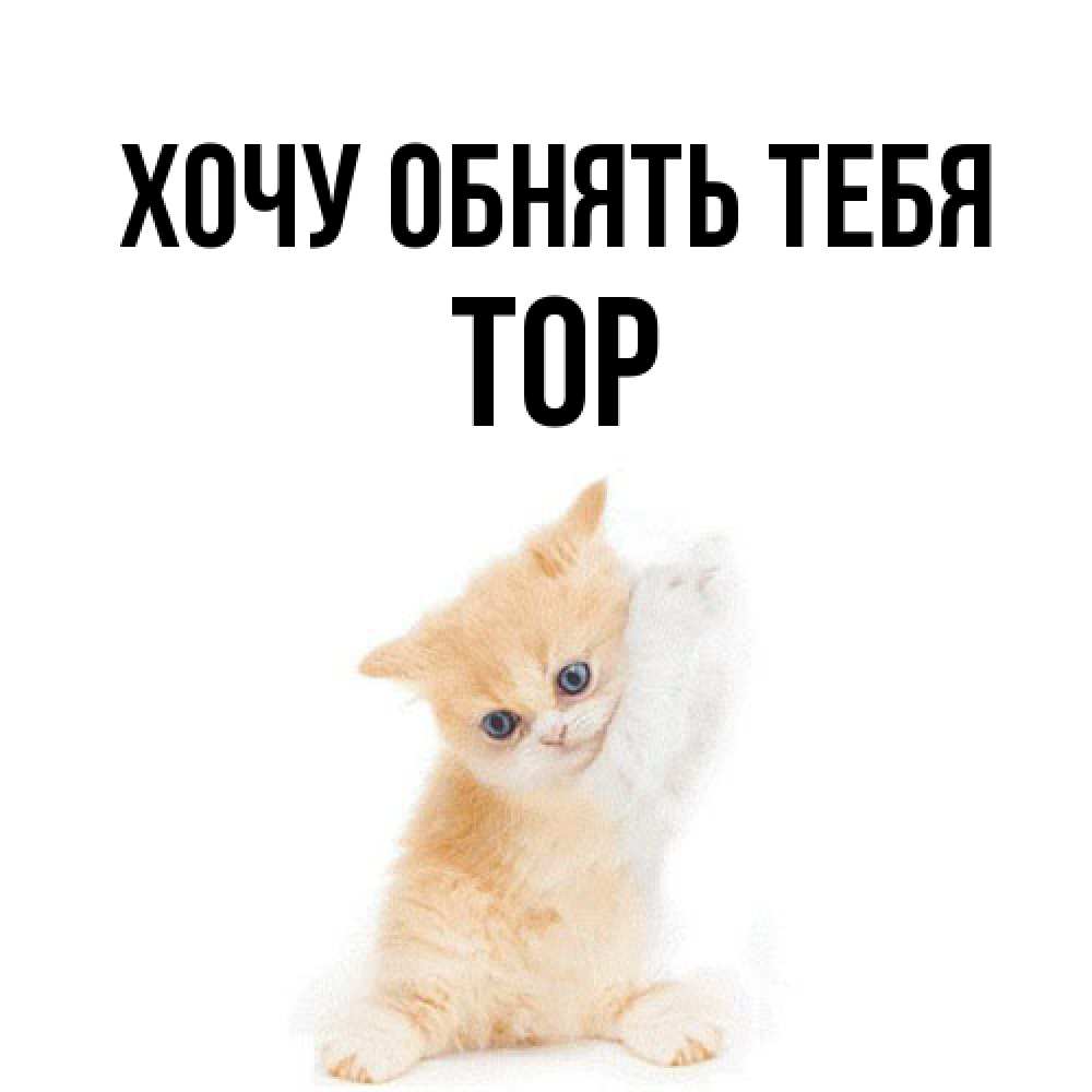 Открытка на каждый день с именем, Тор Хочу обнять тебя я хочу очень скорее обнимаешек Прикольная открытка с пожеланием онлайн скачать бесплатно 