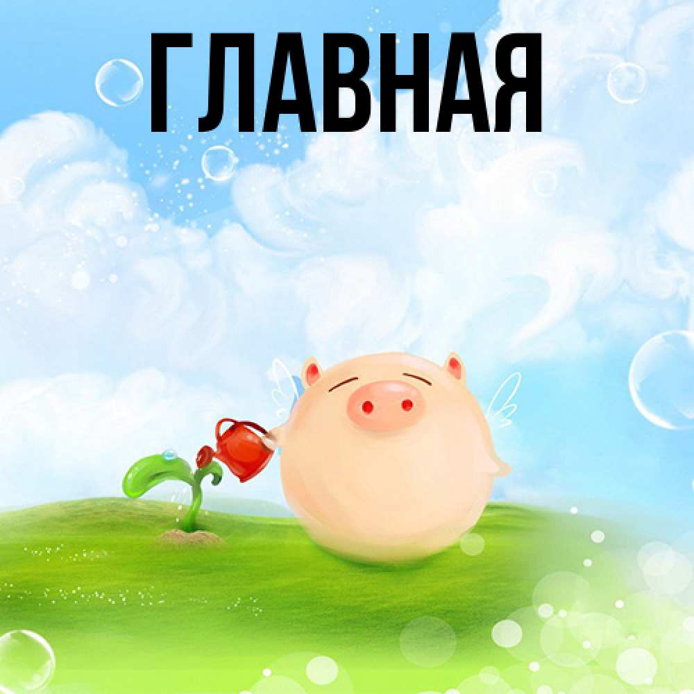 Открытка на каждый день с именем, настя Главная позитивная свинюшка Прикольная открытка с пожеланием онлайн скачать бесплатно 