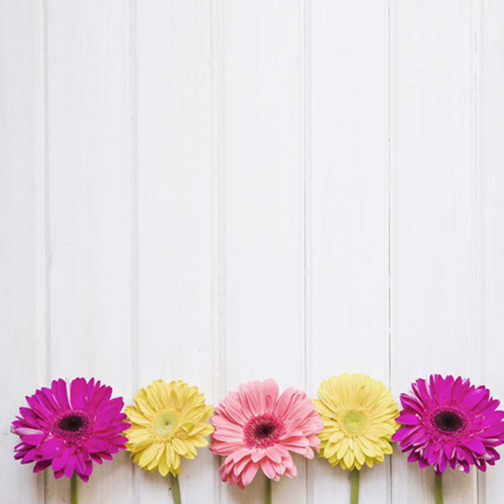 Открытка на каждый день с именем, лимпопоша Доброе утро красный желтый и розовый цветок Прикольная открытка с пожеланием онлайн скачать бесплатно 