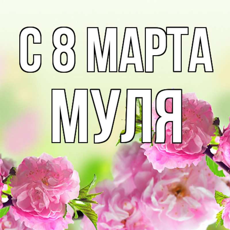 Картинка C 8 МАРТА, Муля