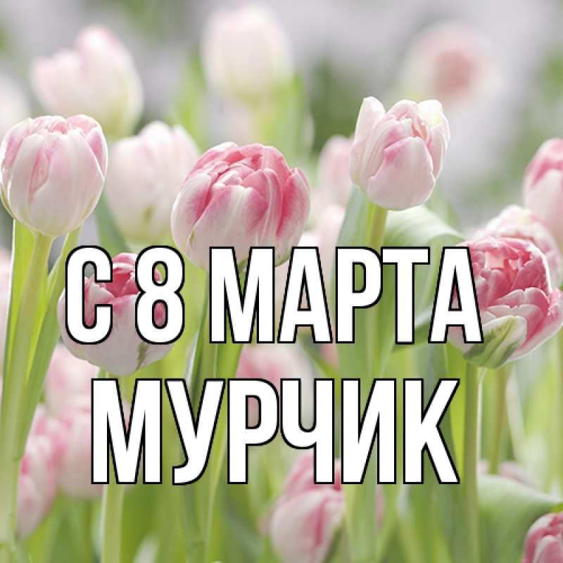 Картинка C 8 МАРТА, Мурчик