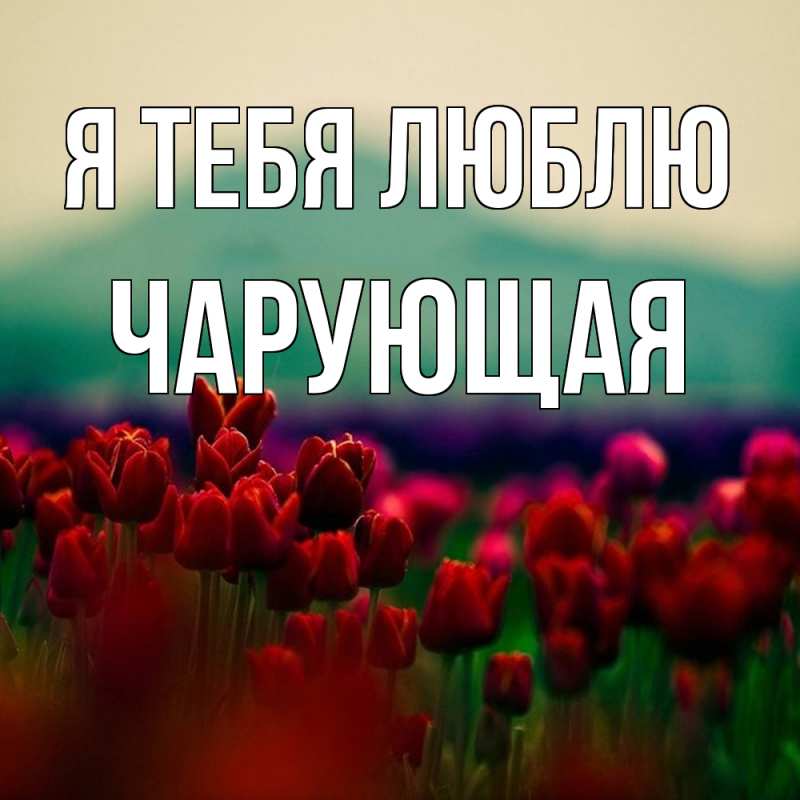 Картинка Я тебя люблю, Чаpующая