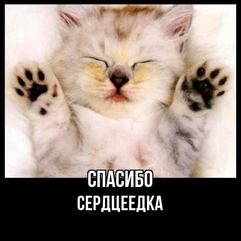 Картинка Спасибо, сердцеедка