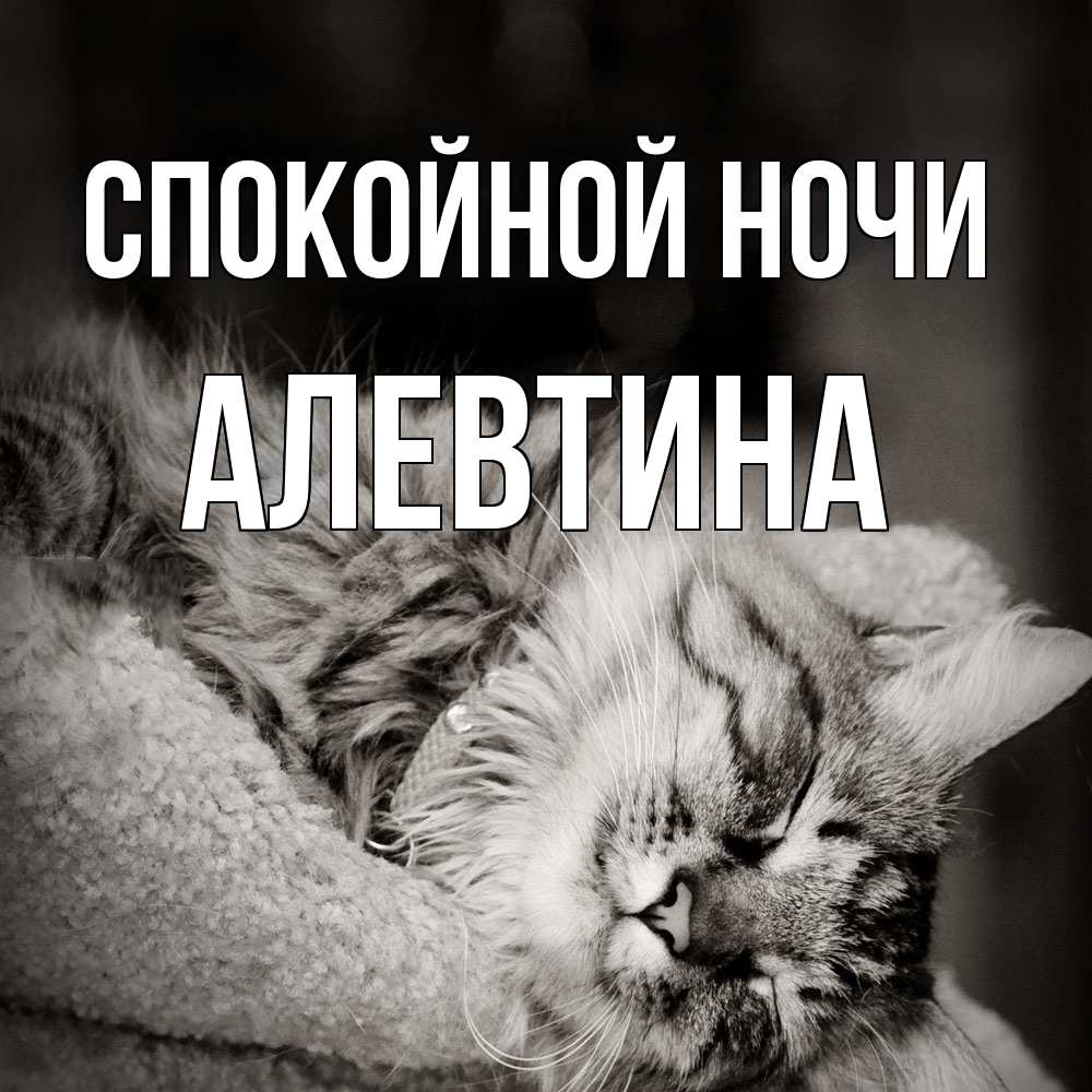 Открытка на каждый день с именем, Алевтина Спокойной ночи котярик пушистый Прикольная открытка с пожеланием онлайн скачать бесплатно 