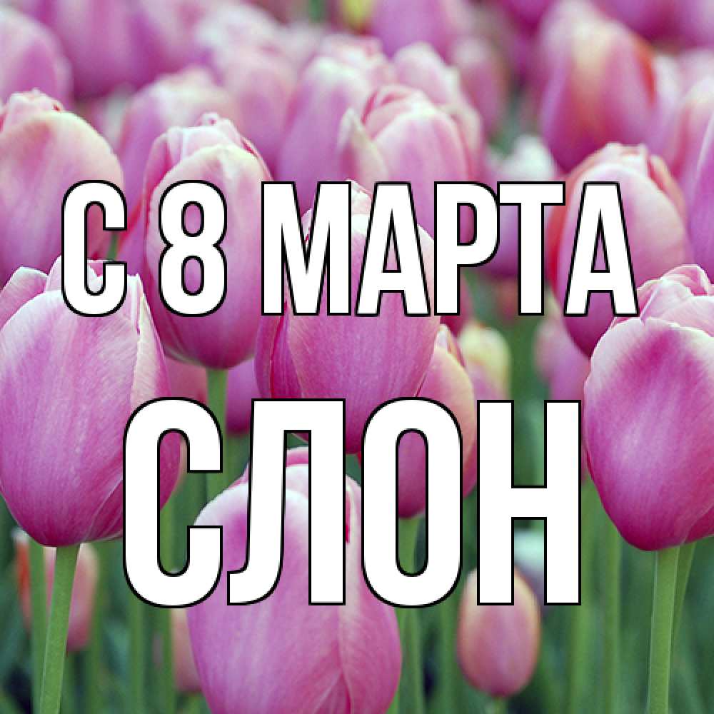 Открытка на каждый день с именем, Слон C 8 МАРТА на международный женский день 3 Прикольная открытка с пожеланием онлайн скачать бесплатно 