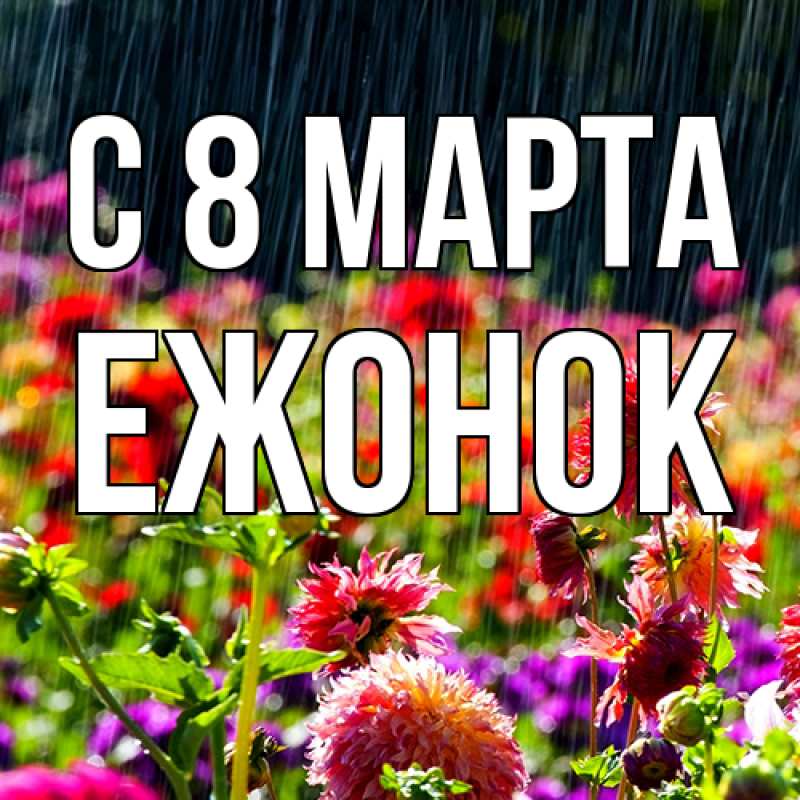 Картинка C 8 МАРТА, Ежонок