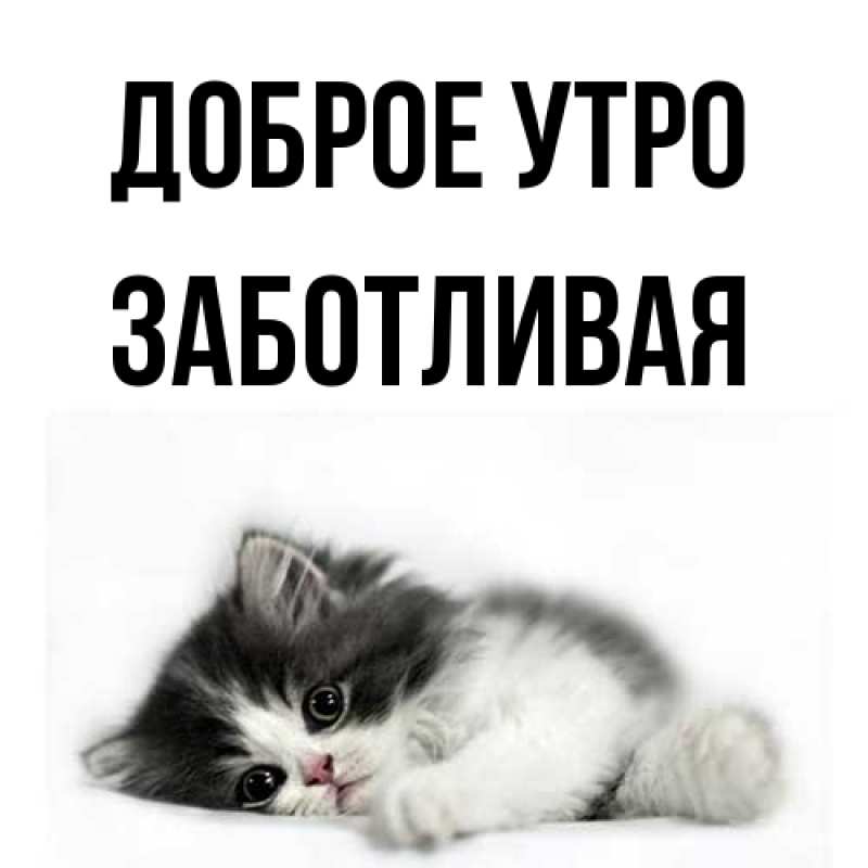 Картинка Доброе утро, Заботливая