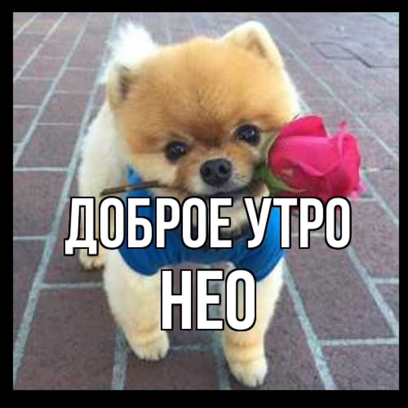 Картинка Доброе утро, Нео