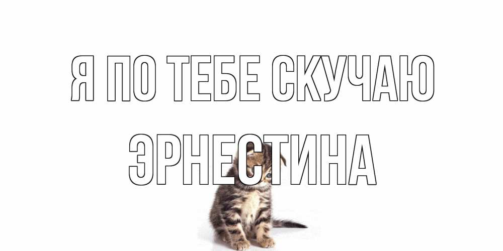 Открытка на каждый день с именем, Эрнестина Я по тебе скучаю кот Прикольная открытка с пожеланием онлайн скачать бесплатно 