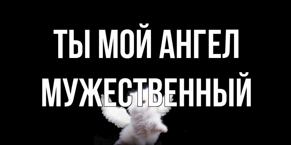 Открытка на каждый день с именем, Мужественный Ты мой ангел Кот ангел Прикольная открытка с пожеланием онлайн скачать бесплатно 