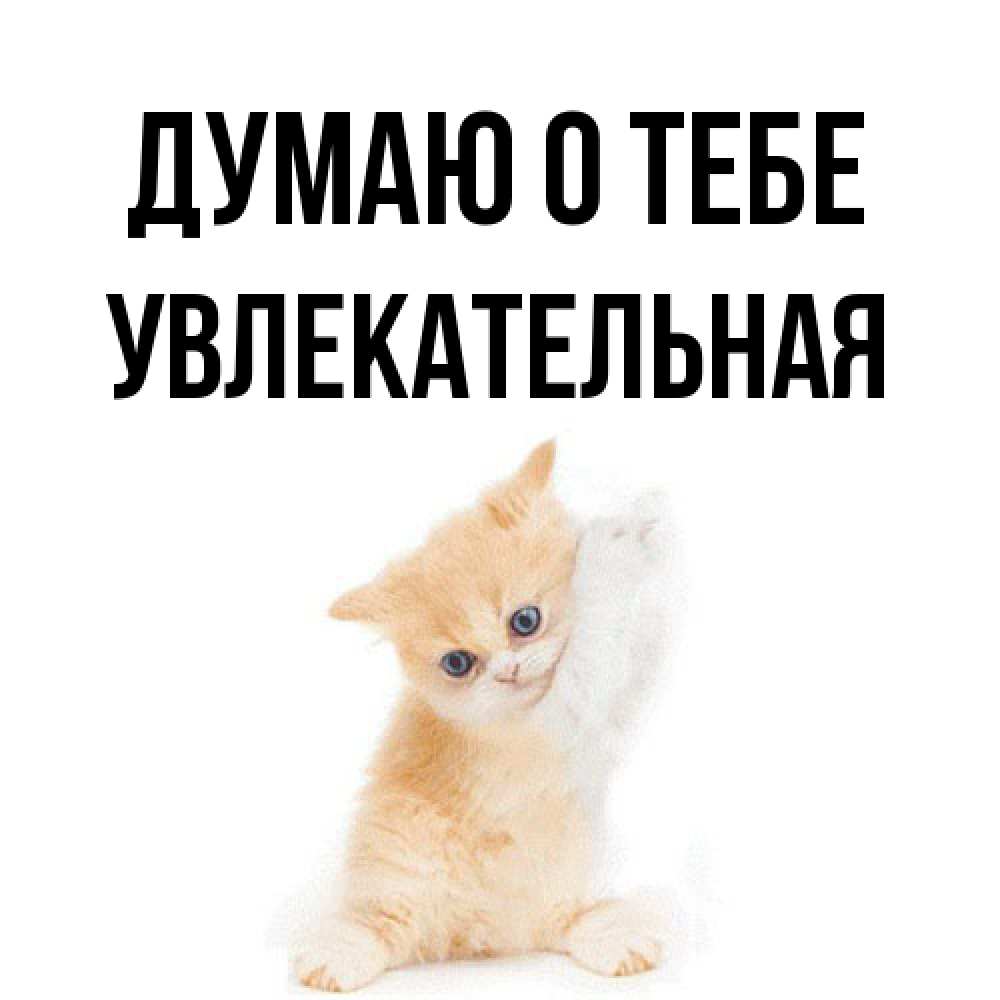 Открытка на каждый день с именем, Увлекательная Думаю о тебе зверушки и милота Прикольная открытка с пожеланием онлайн скачать бесплатно 