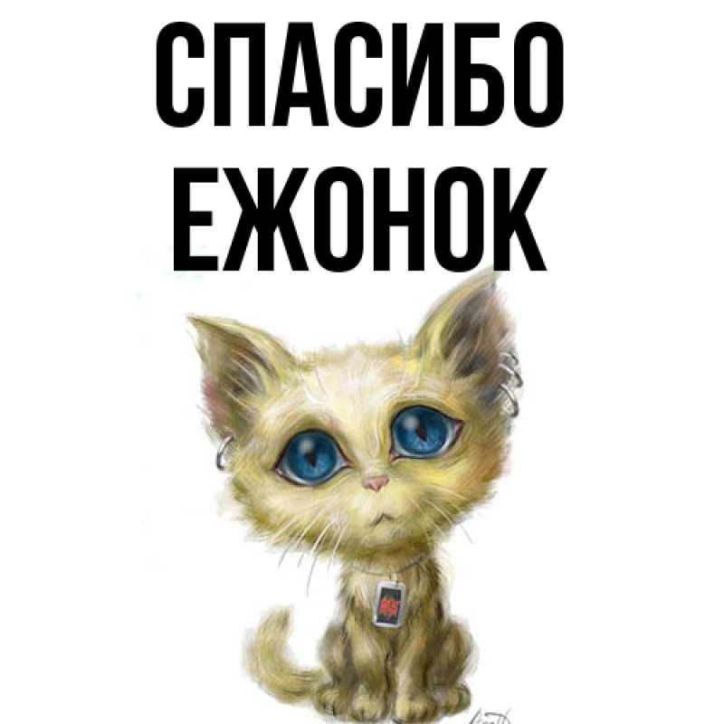 Картинка Спасибо, Ежонок