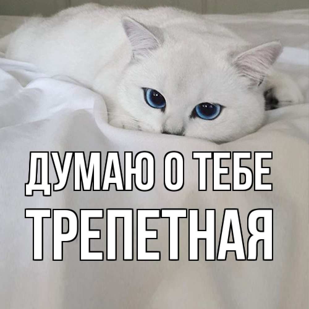 Открытка на каждый день с именем, Тpепетная Думаю о тебе я очень по тебе скучаю и тоскую Прикольная открытка с пожеланием онлайн скачать бесплатно 