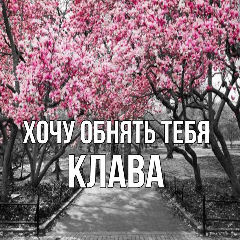 Картинка Хочу обнять тебя, Клава